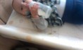 /album/fotogaleria/imag0075-jpg/